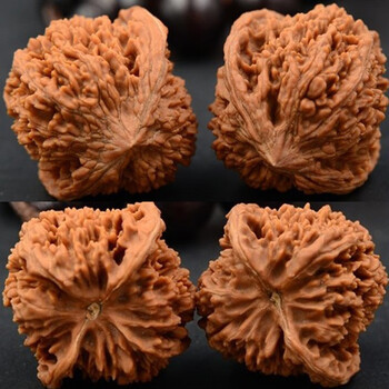 丝敏文玩核桃野生2野生45mm百花山满天星狮子头文玩把件麻核桃精选健