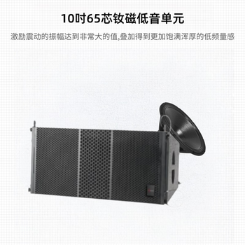 海康威视舞台户外会议演出专用双10寸线阵列音箱DS-QAOLP60014