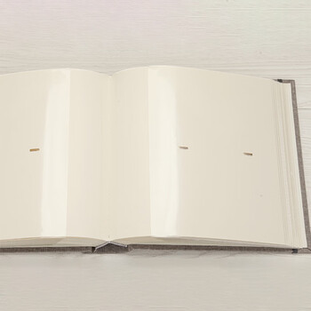 Nakabayashi仲林NCL布艺相册5寸6寸插袋式200张插页式情侣家庭影集 5寸 | 茶鼠色