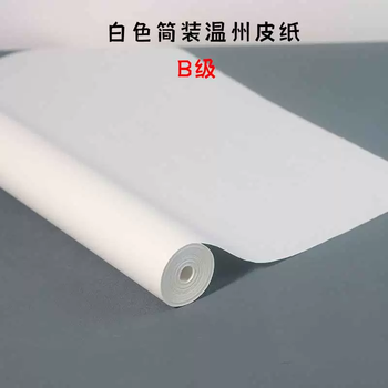温州皮纸新款- 温州皮纸2021年新款- 京东