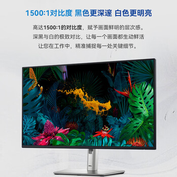 戴尔（DELL）电脑办公显示器 4K高清 27英寸显示屏 IPS屏防蓝光 100Hz 微边框Type-C 90W 旋转升降 P2725QE