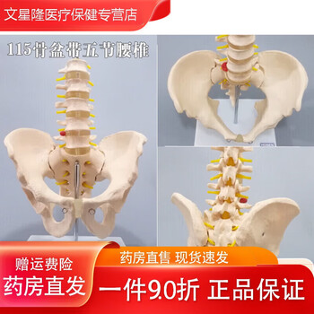 腰椎模具型号规格- 京东