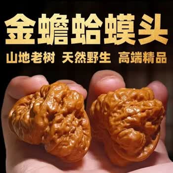 文完核桃金蝉品牌及商品- 京东