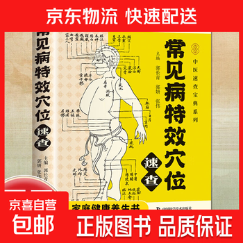 中医耳穴疗法- 京东