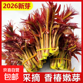 红油香椿价格报价行情- 京东