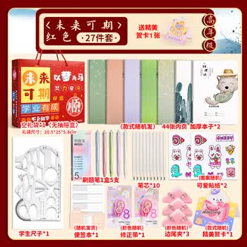 递乐【全网低价】高年级开学伴手礼文具套装五六七年级开学礼物 2347红色未来可期-高年级