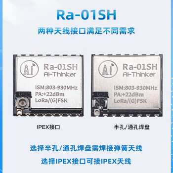 东欢（Ra-01SH）LoRa无线射频模块SX1262芯片868/915MHz 含配套天线单位：个