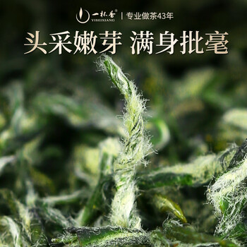 一杯香茶叶绿茶苏州洞庭碧螺春特级100g2026新茶明前礼盒装自己喝散装
