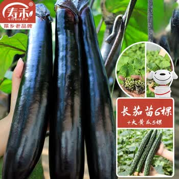 茄瓜 新茄瓜价格报价行情- 京东
