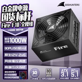 长城（Great Wall） Fire白金全模组电源 台式机主机电源/自动启停 F10白金全模ATX3.1（额定1000W）