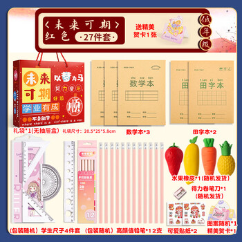 递乐【全网低价】学习用品开学伴手礼文具套装入学一二年级升学礼盒开学礼物2347红色未来可期-低年级