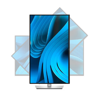 戴尔（DELL）电脑办公显示器 4K高清 27英寸显示屏 IPS屏防蓝光 100Hz 微边框Type-C 90W 旋转升降 P2725QE