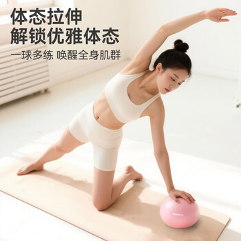 PROIRON普力艾 瑜伽球八爪鱼小球盆底肌专用悬垂腹辅助训练25cm普拉提 紫