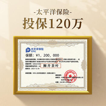 狮井2026新茶明前特级龙井绿茶叶礼盒装200g高端送礼品老人物长辈领导