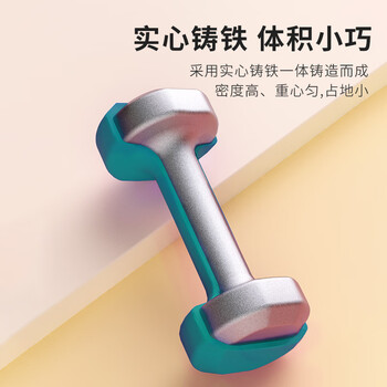 PROIRON普力艾 彩色浸塑磨砂哑铃女家用儿童哑铃 薄荷绿1磅