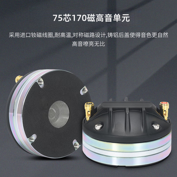 海康威视舞台户外会议演出专用双10寸线阵列音箱DS-QAOLP60014