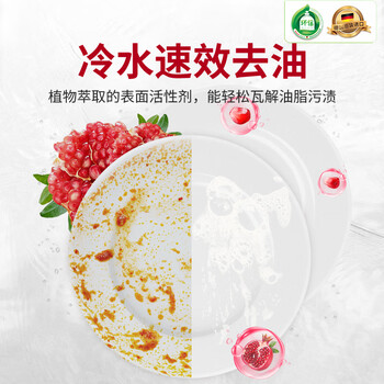 Frosch石榴果浓缩洗洁精 500ml  石榴天然气味 安全无残留 德国原装进口
