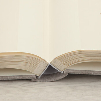 Nakabayashi仲林NCL布艺相册5寸6寸插袋式200张插页式情侣家庭影集 5寸 | 茶鼠色