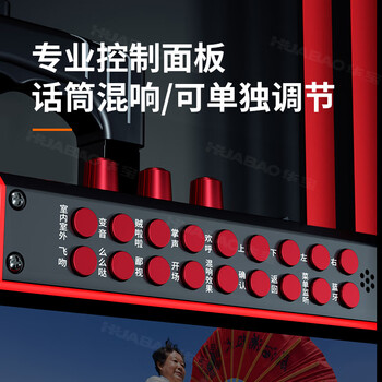 华宝1033蓝牙版双话筒广场舞音响显示屏户外手提k歌音箱家用一体机家用卡拉ok唱歌广场舞