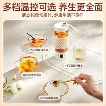 宝威玛（BVGMAV）便携烧水杯养生杯高硼硅玻璃电热水壶纯钛茶仓户外恒温泡奶杯