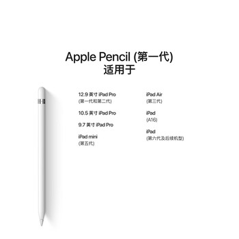 Apple/苹果 Pencil(第一代) 带USB-C转换器 触控笔手写笔苹果笔电容笔 适用部分iPad 11/Pro/Air机型