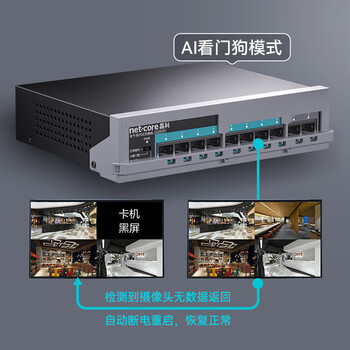 磊科（netcore）SG2010P 10口千兆8口供电POE交换机 企业级家用宿舍监控网络网线分线器 兼容百兆（新老版本混发）