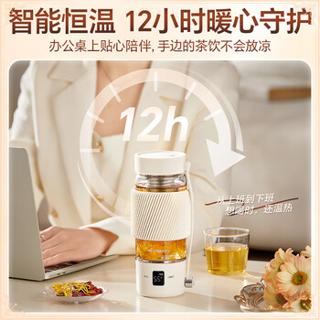 宝威玛（BVGMAV）便携烧水杯养生杯高硼硅玻璃电热水壶纯钛茶仓户外恒温泡奶杯