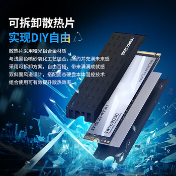 致态（ZhiTai）长江存储 4TB SSD固态硬盘 NVMe M.2接口 TiPro9000 系列 (PCIe 5.0 产品) 附赠散热器