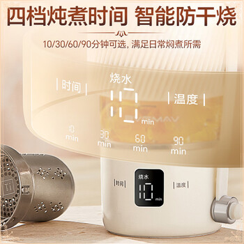 宝威玛（BVGMAV）便携烧水杯养生杯高硼硅玻璃电热水壶纯钛茶仓户外恒温泡奶杯