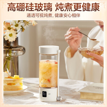 宝威玛（BVGMAV）便携烧水杯养生杯高硼硅玻璃电热水壶纯钛茶仓户外恒温泡奶杯