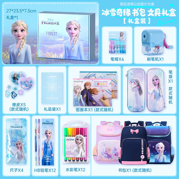 迪士尼（Disney）文具套装 小学生书包文具礼盒 女孩生日礼物学习用品开学大礼包12-15岁儿童礼物开学礼物 冰雪奇缘