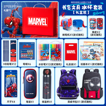 迪士尼（Disney）文具套装礼盒小学生男儿童文具礼盒13件套礼包学习用品儿童生日礼物3-6年级书包保温杯