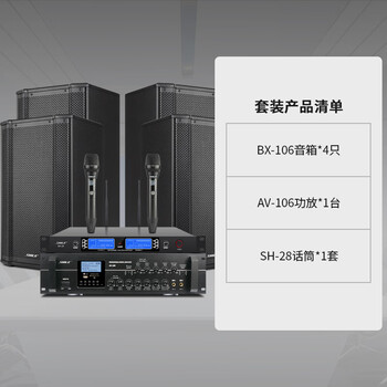 狮乐（SHILE）10英寸会议室音响系统 功放音响组合舞蹈室报告厅教室壁挂音箱套装AV106+BX106两对+SH28配2手持