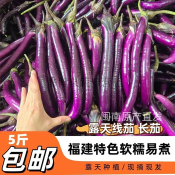 茄瓜 茄瓜图片- 京东