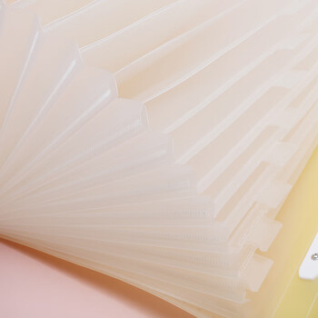 国誉(KOKUYO)A4手提式风琴包淡彩曲奇文件夹 12层13袋 蓝色1个 WSG-DFC130B 国誉(KOKUYO)A4手提式风琴包淡彩曲奇文件夹 12层13袋 蓝色1个 WSG-DFC130B