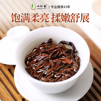 一杯香茶叶武夷山小种正山红茶500g新茶礼盒装自己喝散装古树茗茶