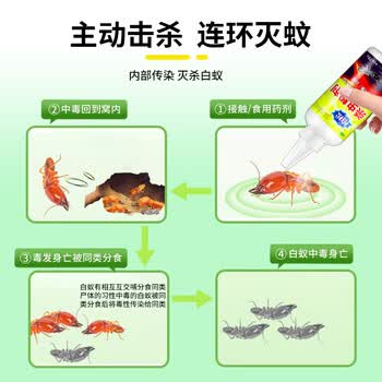力仕康白蚁药传染全巢杀虫粉蚂蚁药一窝端杀白蚂蚁特效防治专用药家户外