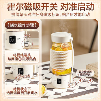 宝威玛（BVGMAV）便携烧水杯养生杯高硼硅玻璃电热水壶纯钛茶仓户外恒温泡奶杯