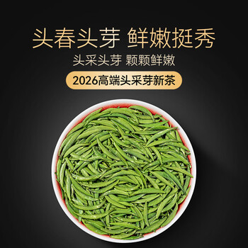 贡苑2026新茶 头采芽峨眉山雀舌特级120g 明前绿茶茶叶独立包装自己喝