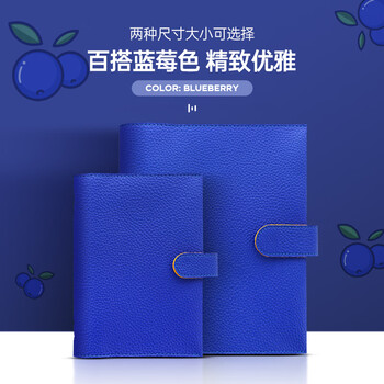 Filofax笔记本英国进口高档活页手帐软皮面简约商务办公会议记录日程礼品礼盒装POP A6蓝莓色029401伴手礼