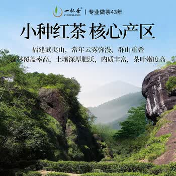 一杯香茶叶武夷山小种正山红茶500g新茶礼盒装自己喝散装古树茗茶