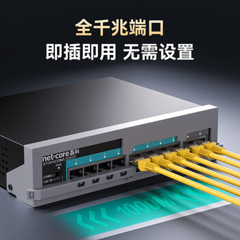 磊科（netcore）SG2010P 10口千兆8口供电POE交换机 企业级家用宿舍监控网络网线分线器 兼容百兆（新老版本混发）