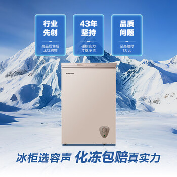 容声（Ronshen）100L单温家用冰柜-36℃速冻减霜80%一级能效节能净味冷柜BD/BC-100ZMSM