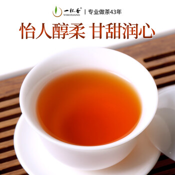 一杯香茶叶武夷山小种正山红茶500g新茶礼盒装自己喝散装古树茗茶