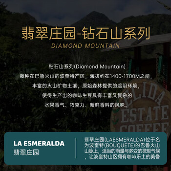 RA.BURI巴拿马钻石山精品级手冲咖啡豆 翡翠庄园进口原料烘焙150g