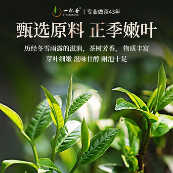 一杯香茶叶乌龙茶铁观音安溪特级清香型250g礼盒装送礼自己喝散装茗茶