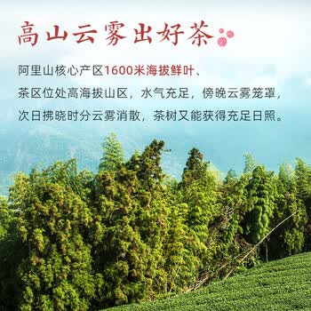 炭纪（teagraphy）乌龙茶高山金萱台湾茶奶香特级50g冻顶茶叶自己喝自饮送礼