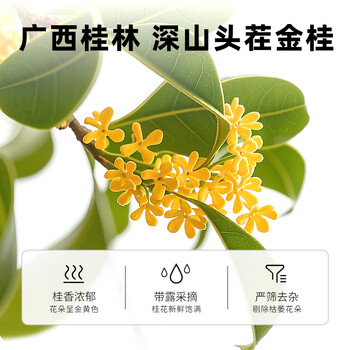 丙田 桂花蜜酱230g 纯蜂蜜桂花酱无添加砂糖鲜蜜酿烘焙果酱糖浆糖桂花