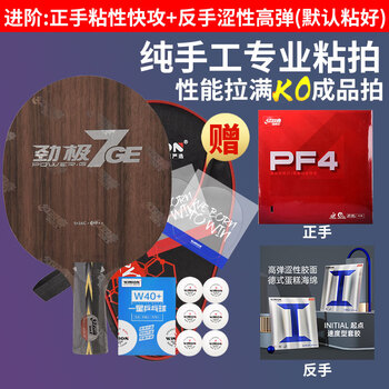 黑檀木乒乓球拍价格报价行情- 京东