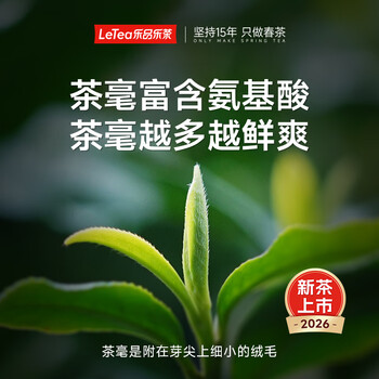 乐品乐茶明前特级碧螺春绿茶2026新茶嫩芽春茶自己喝茶叶礼盒装250g送长辈